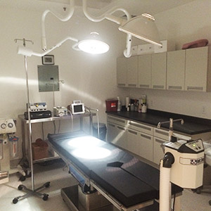 cosmetic operating room
