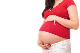 how pregnancy affects breasts